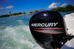 Thumbnail Mercury Outboard 2006 2007 All 4-stroke Repair Manual