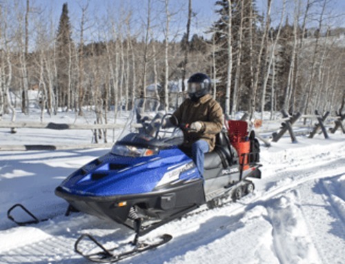 Product picture  Polaris Snowmobile 2007-2013 Edge/Widetrak LX Repair Manual