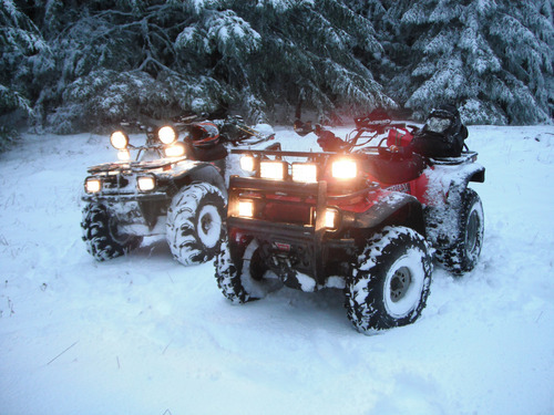 Product picture Arctic Cat 1999 ATV All models Repair Service Manual