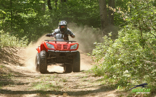 Product picture Arctic Cat 2013 ATV 300 DVX / 450 / XC 450 Service Manual