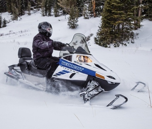 Product picture Arctic Cat 2017 snow Bearcat Lynx Pantera XT Service Manual